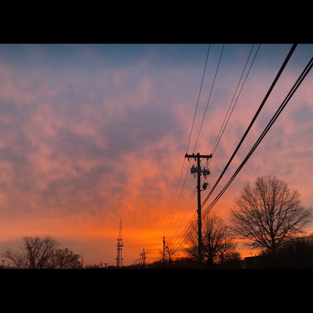 Meet your Posher, Celia